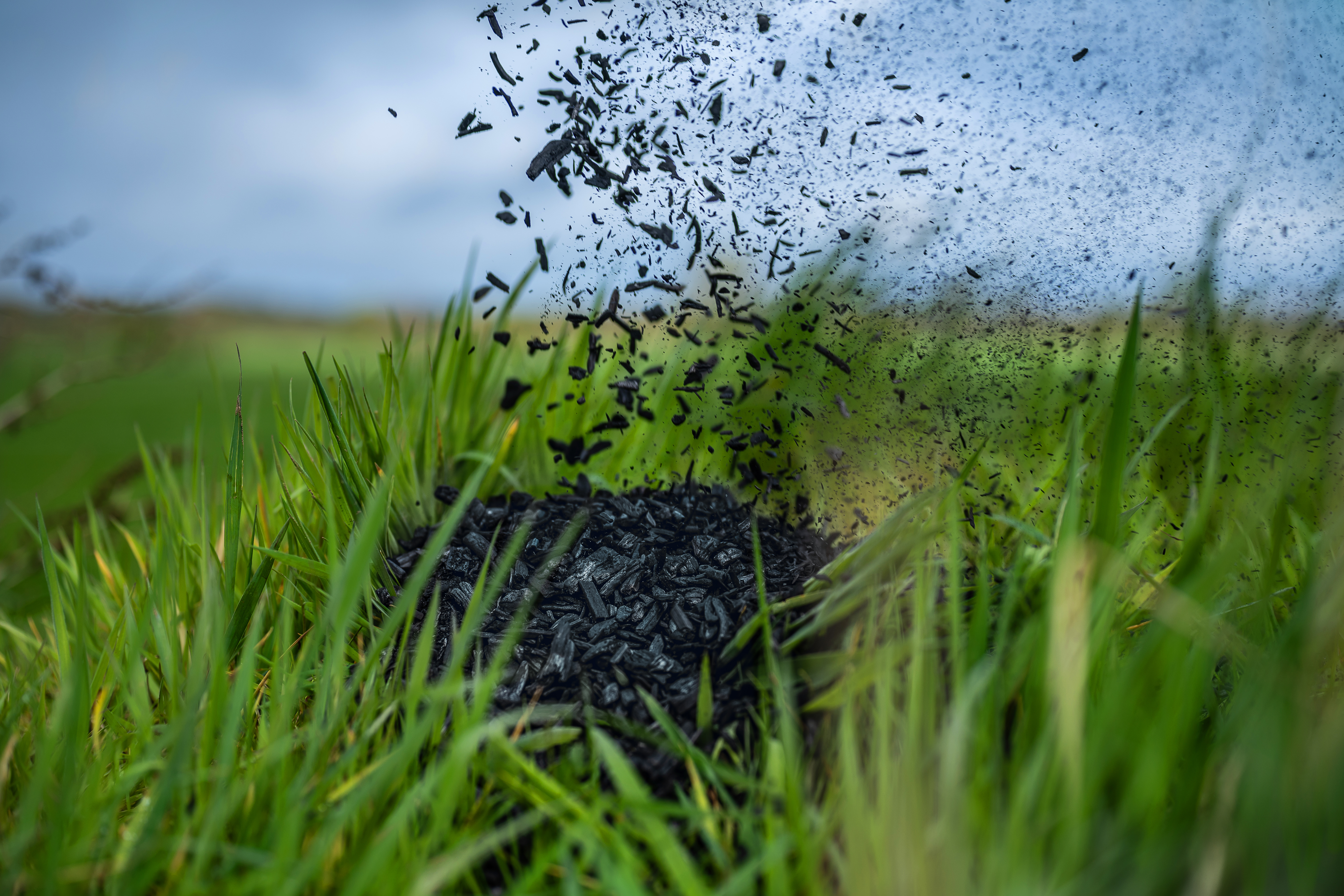 Pflanzenkohle im Gras