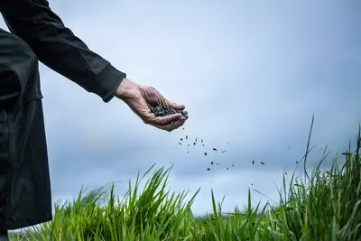 Carbo-FORCE Anlage produziert Pflanzenkohle 